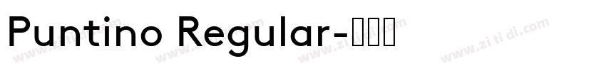 Puntino Regular字体转换